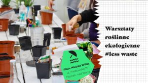 Ekologiczne warsztaty roślinne i "less waste" @ Plaża Miejska Wilda