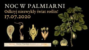 Noc w Palmiarni- Odkryj niezwykły świat roślin! @ Palmiarnia Poznańska