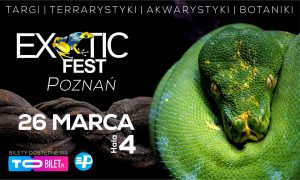 Exotic Fest POZNAŃ @ Międzynarodowe Targi Poznańskie